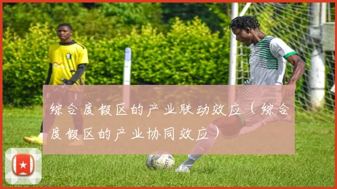 综合度假区的产业联动效应（综合度假区的产业协同效应）