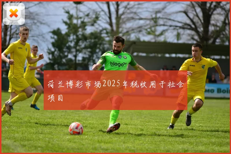 荷兰博彩市场2025年税收用于社会项目