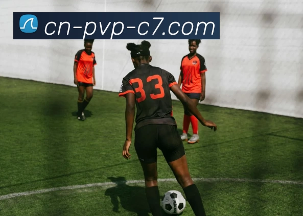 C7娱乐平台生态图